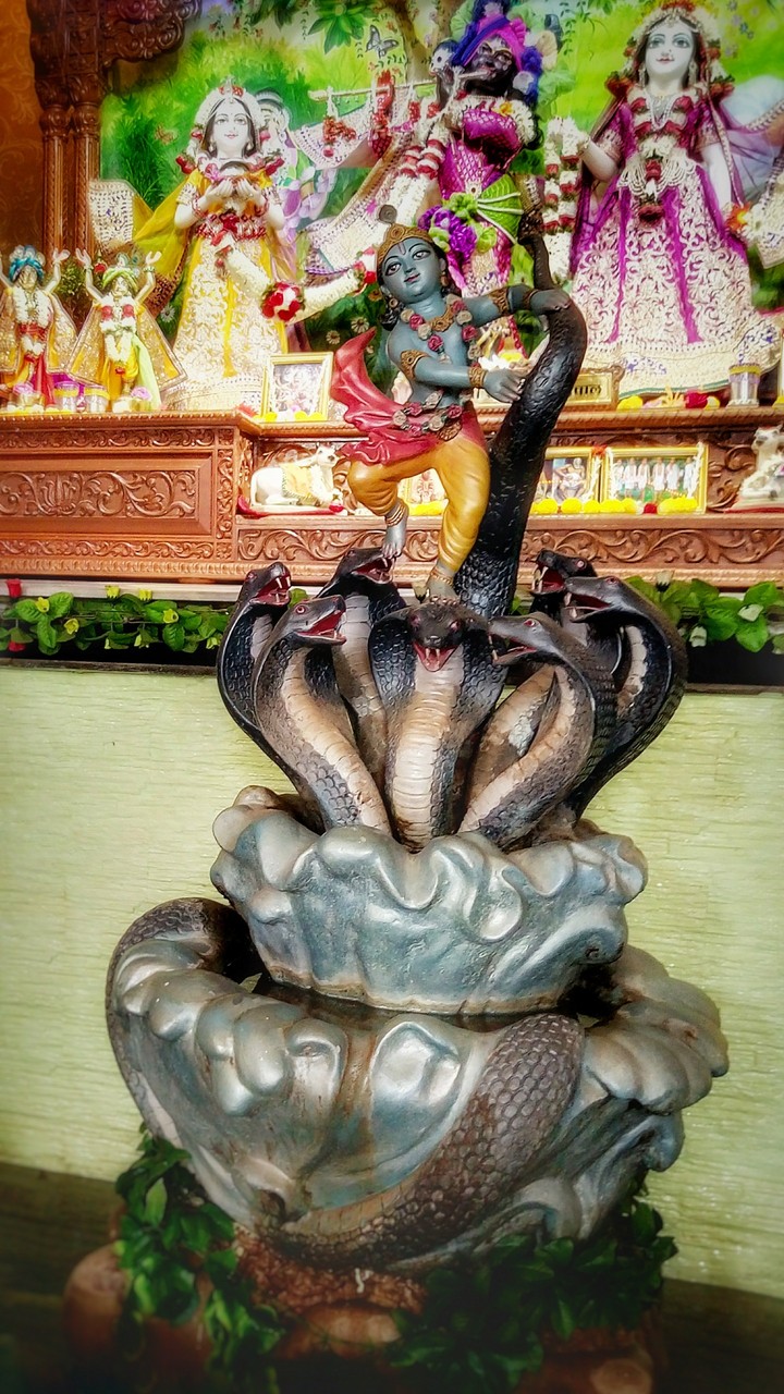 Kaaliya Mardhanam.