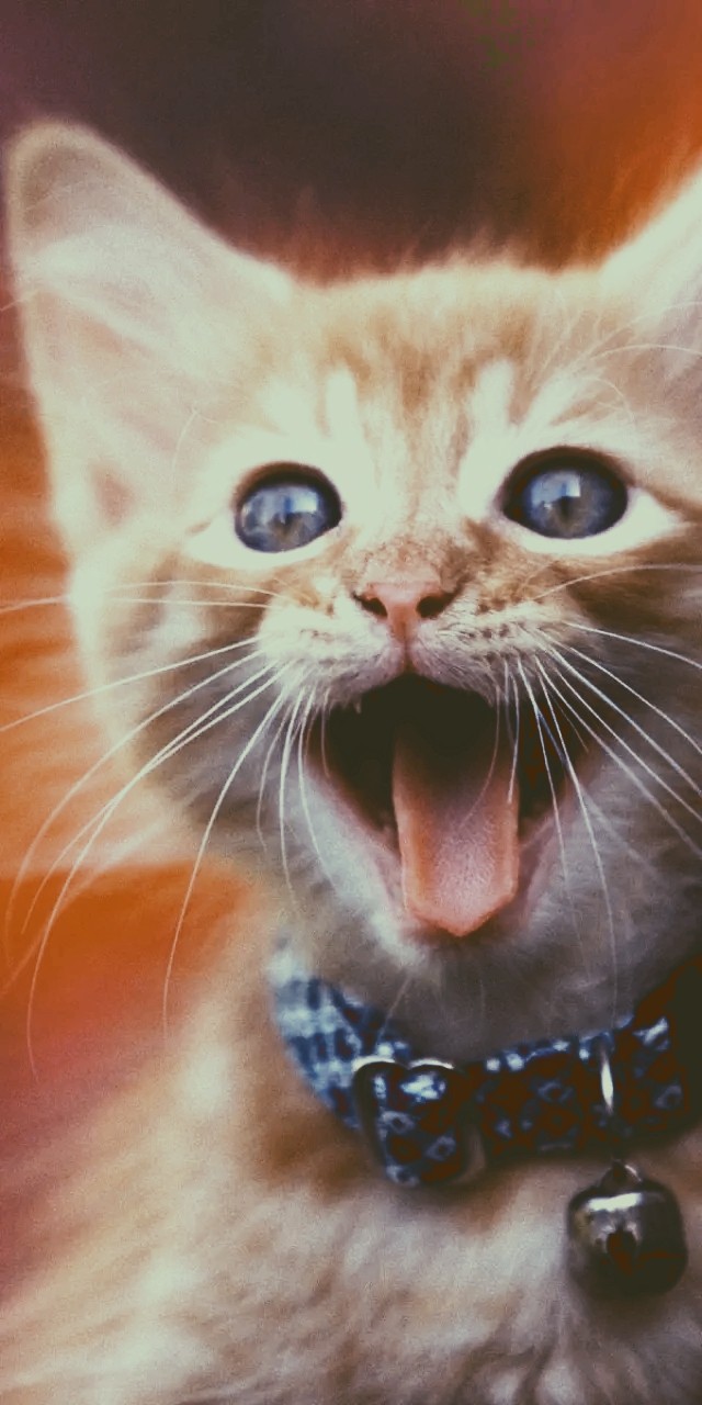 crazy ?