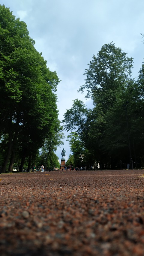 sfondi tree, grass