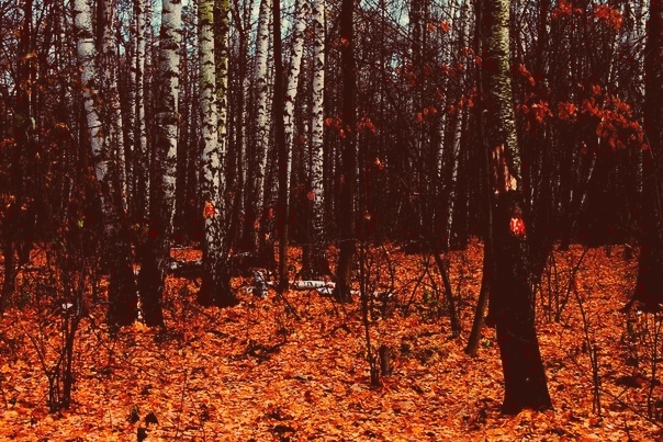 Осень