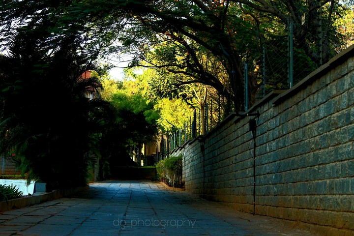 nature