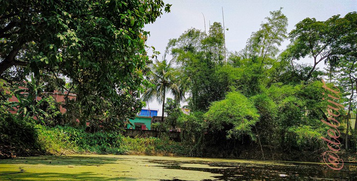 Scenery of village