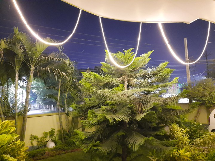 Garden in Lights