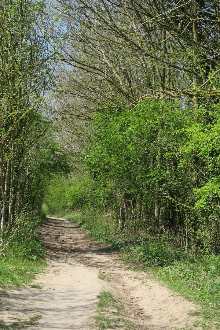 petite allée