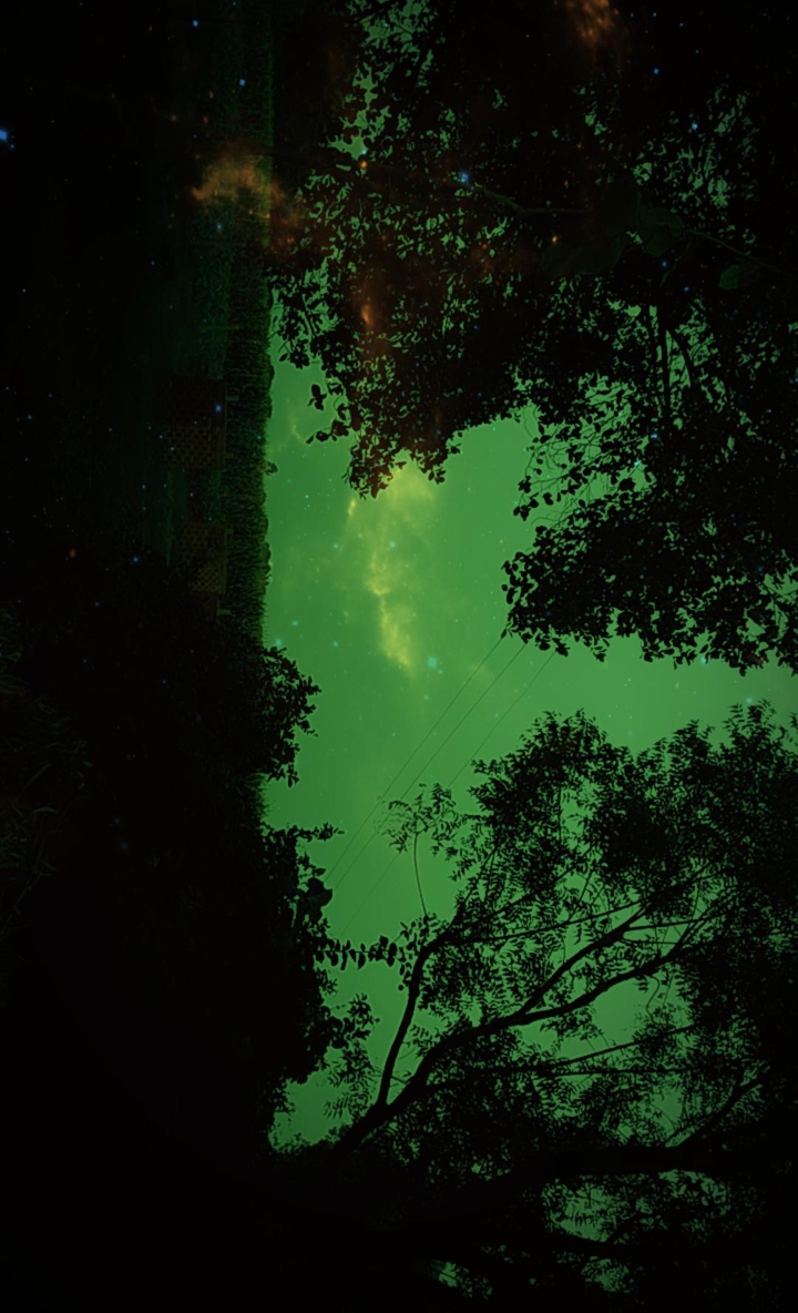 lost in nature