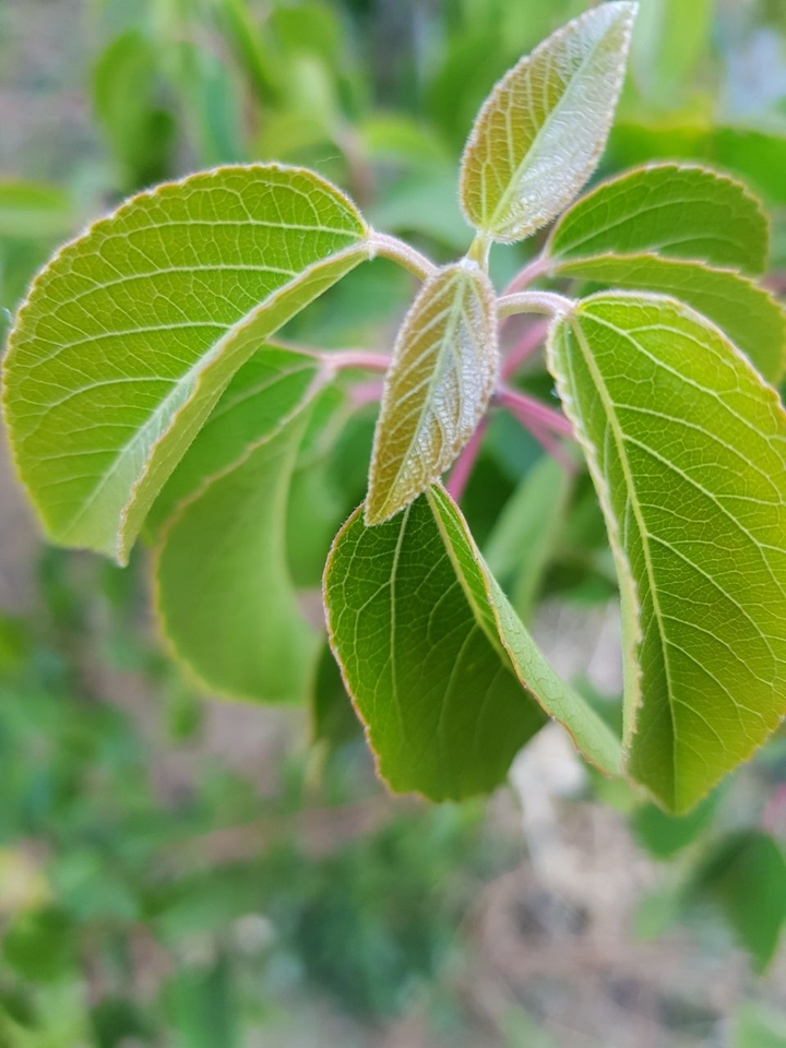 #naturalezza