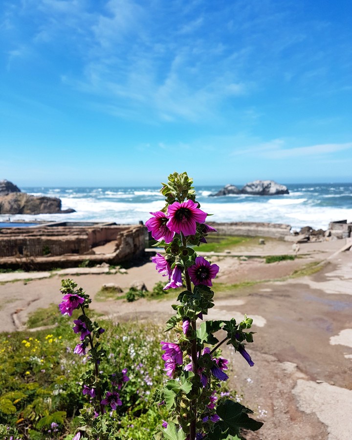 Sunny day in San Francisco (Sutro Baths)