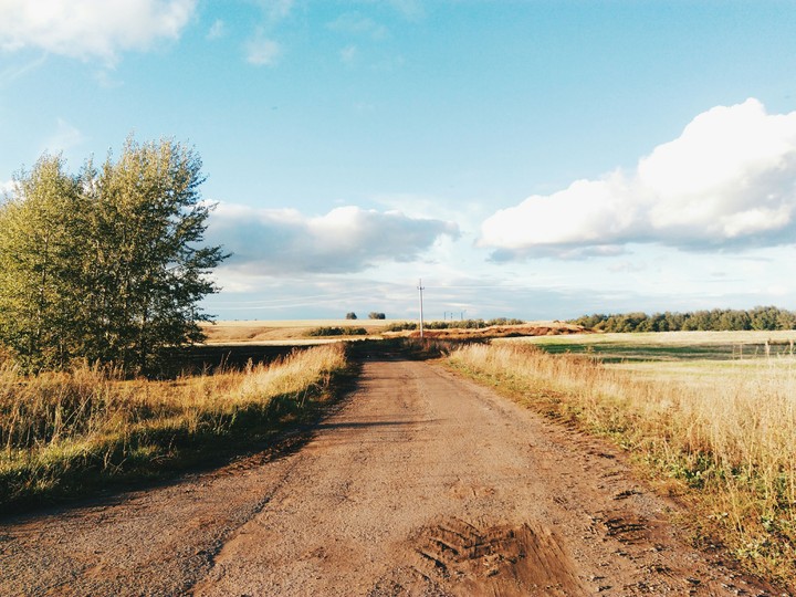 Autumn