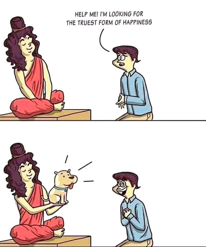 trusty