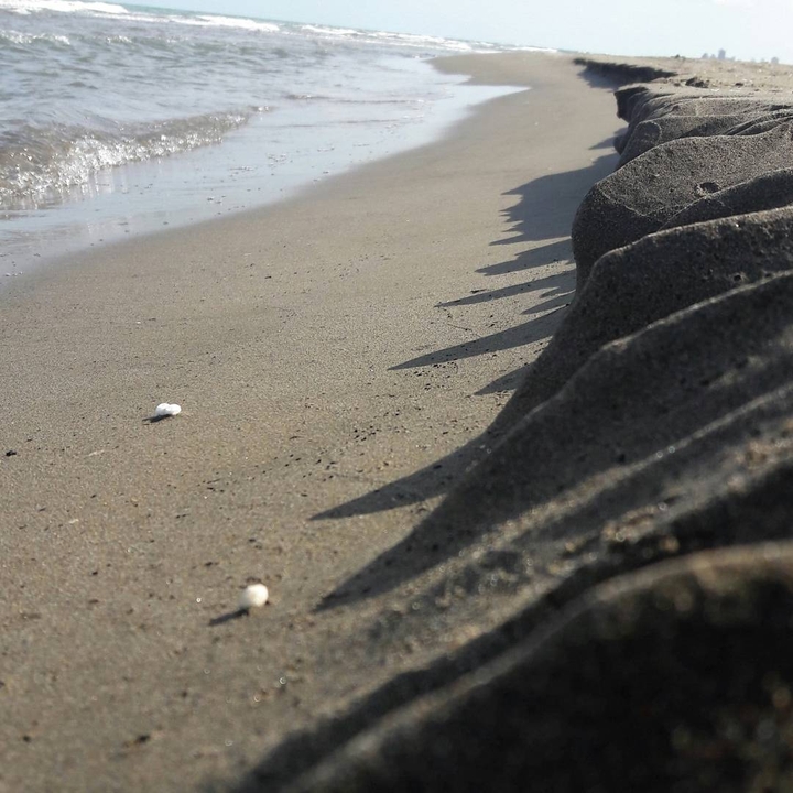 sea
