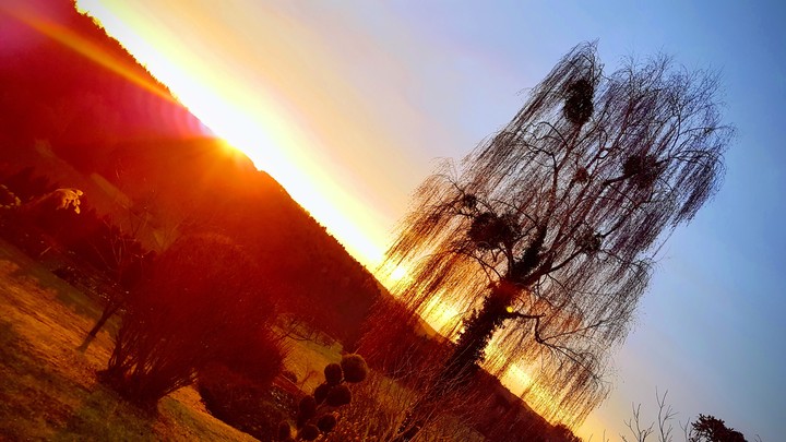Morgenstimmung