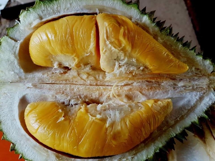 Durian Musang King ?