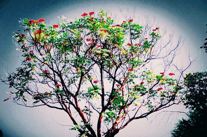Rs_photography by sharath