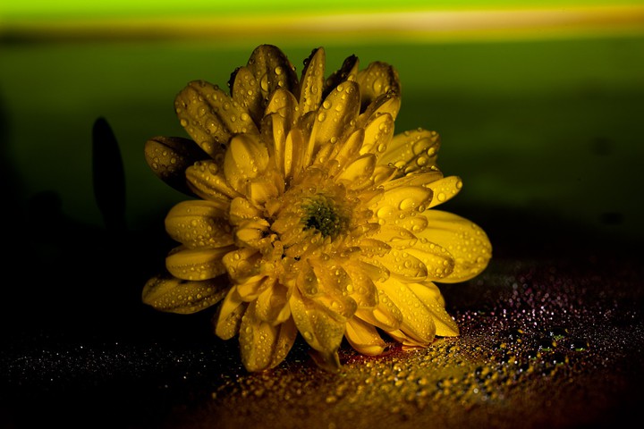 NAYS FOTOS ÖZKAN.gamil.com