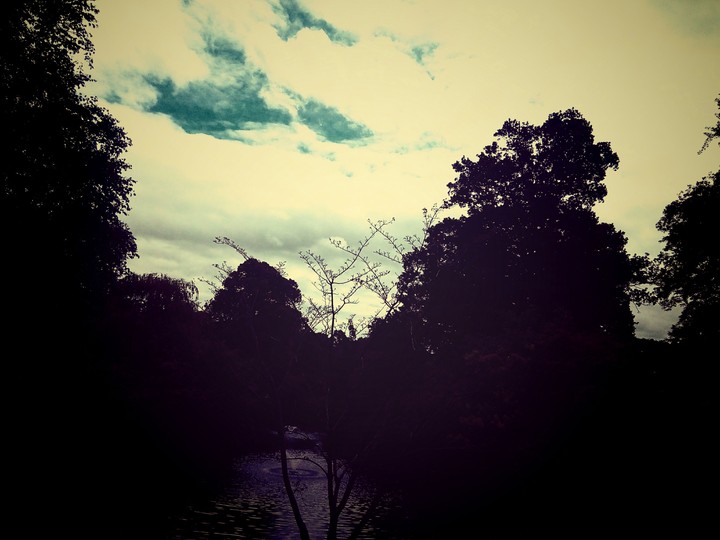 Sky