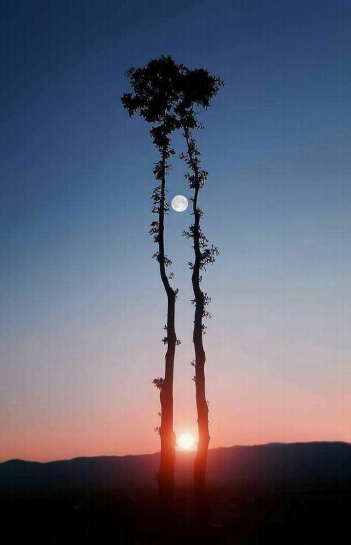 amazing seen