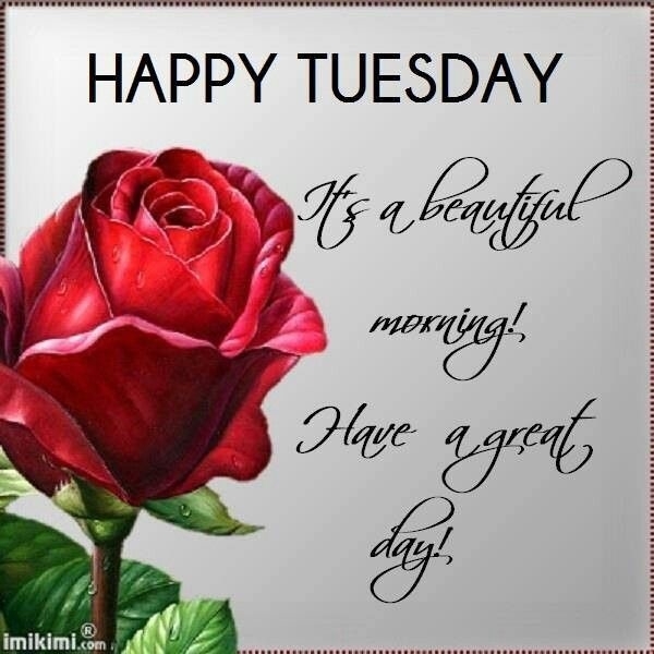 FOR EVERYONE