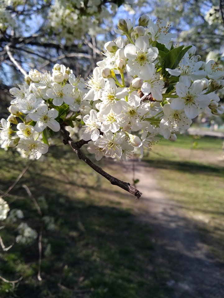 April. Nature. Green.