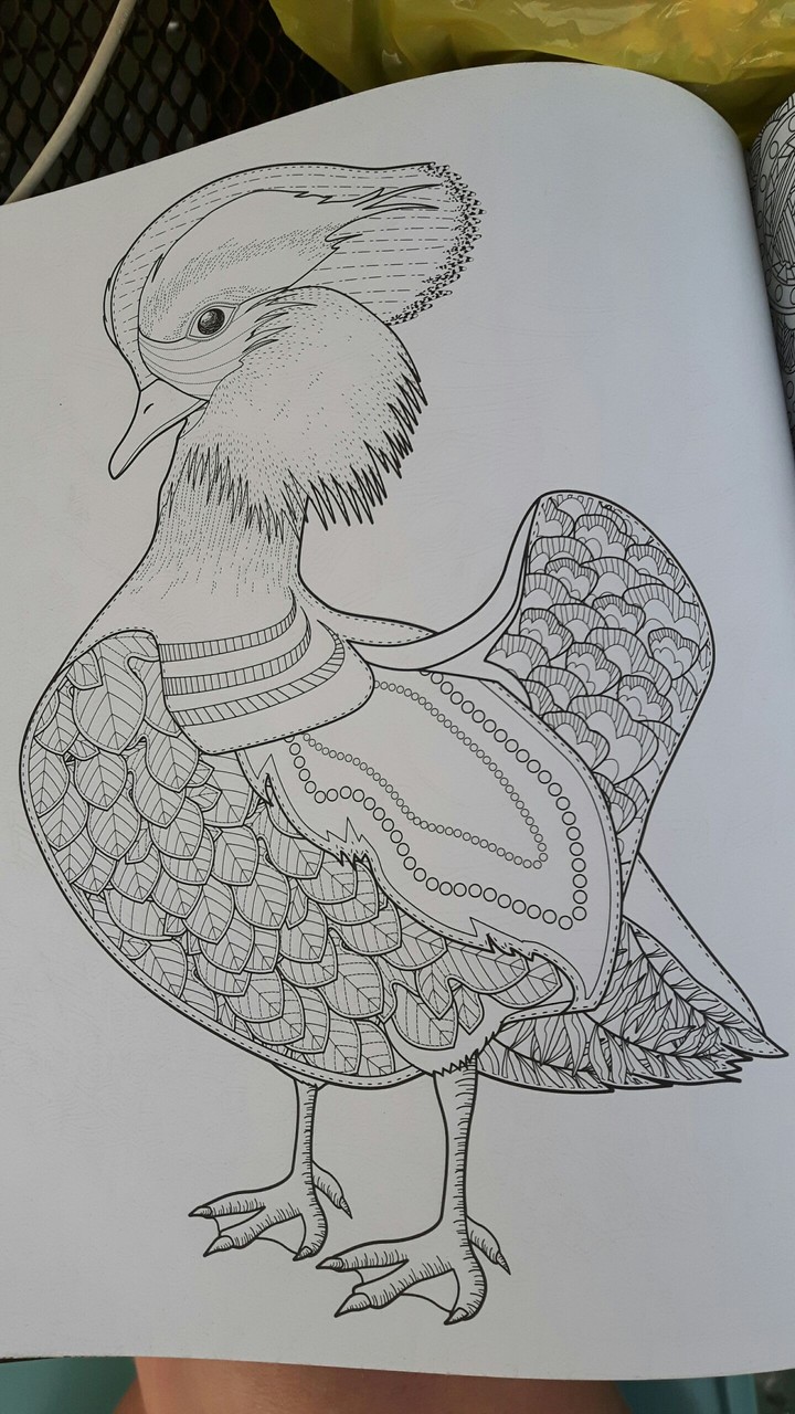 drawing