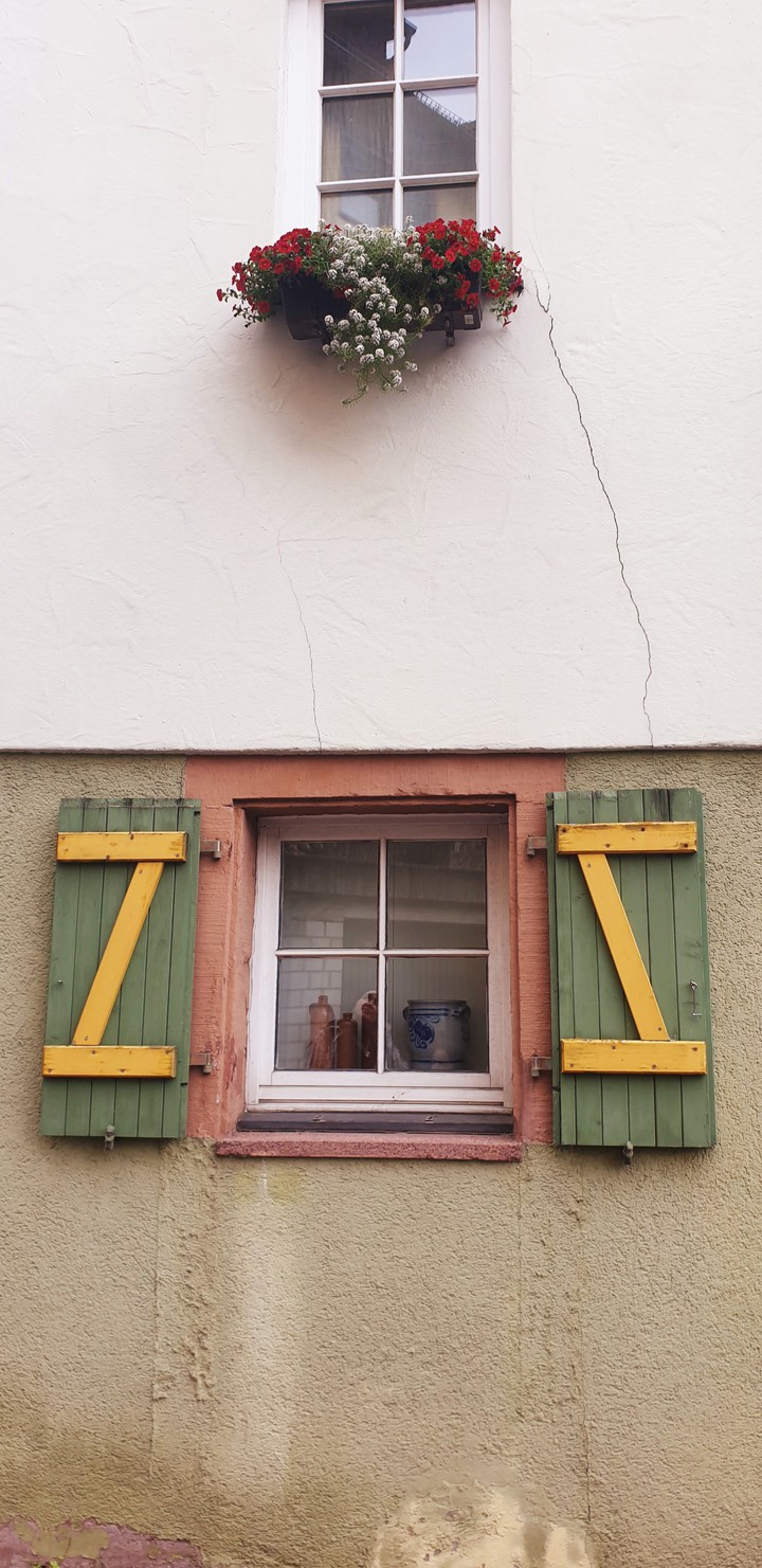 window