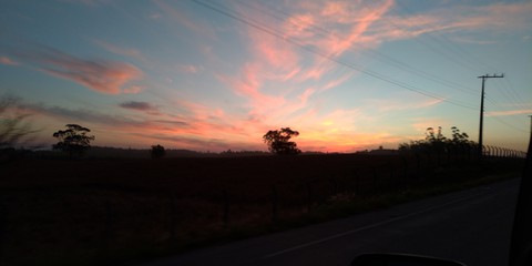 sun
