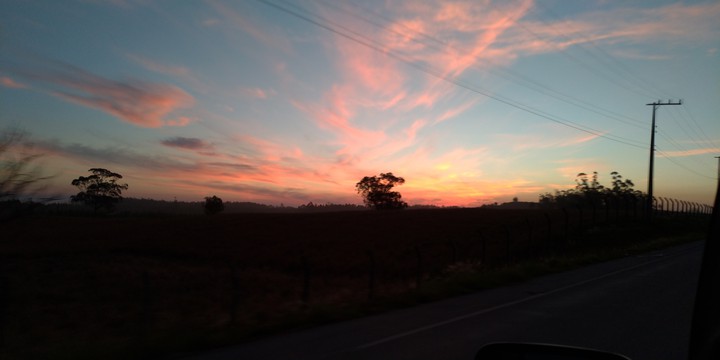 sun