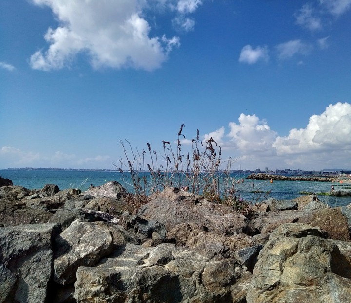 Meer
