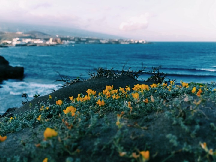 Hidden beach