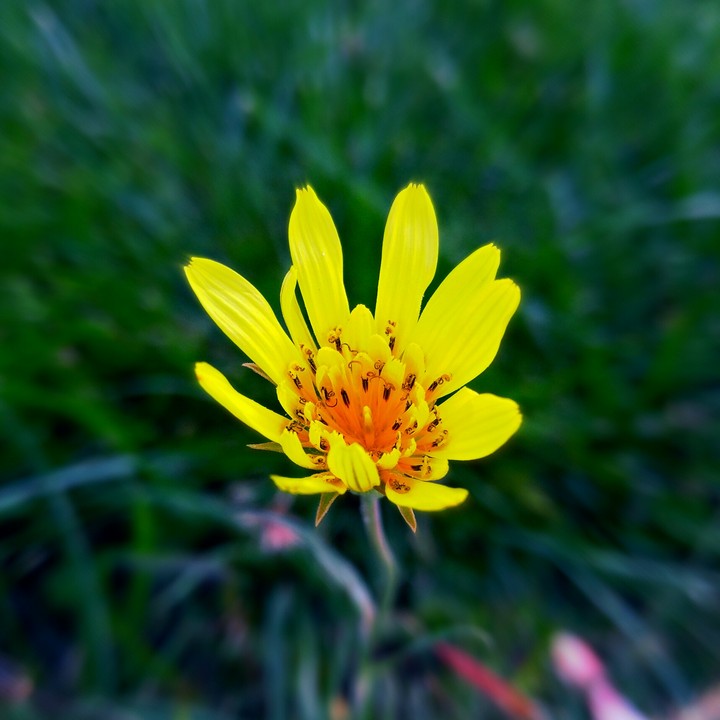 yellow child
