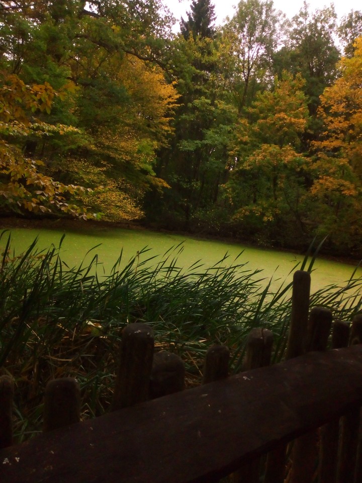 autumn