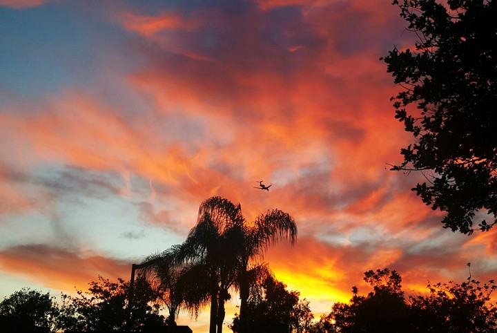 Sunset Flight