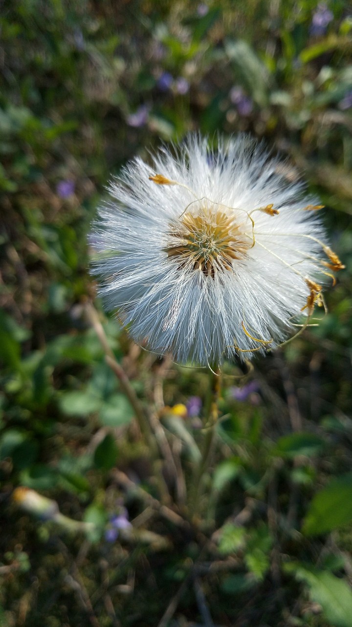 природа