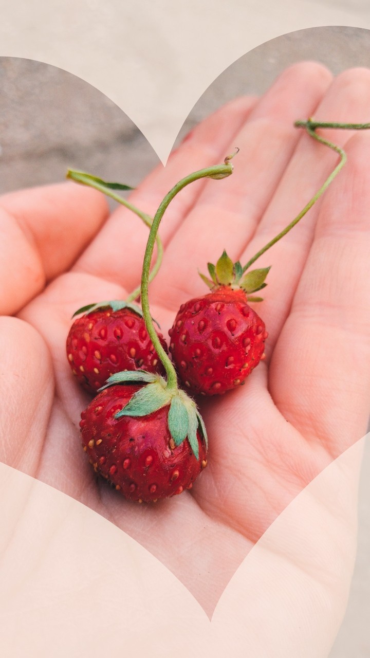 Lovely strawberries