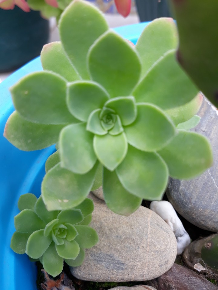 wonders of nature