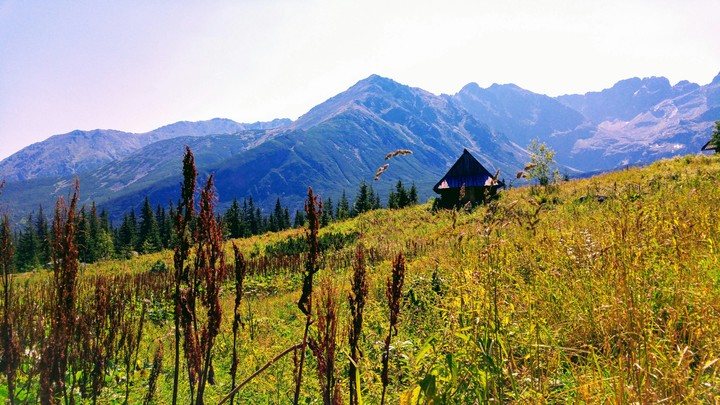 valley in polish tatras