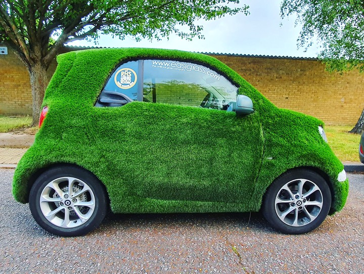 Artificial Grass Decoration
