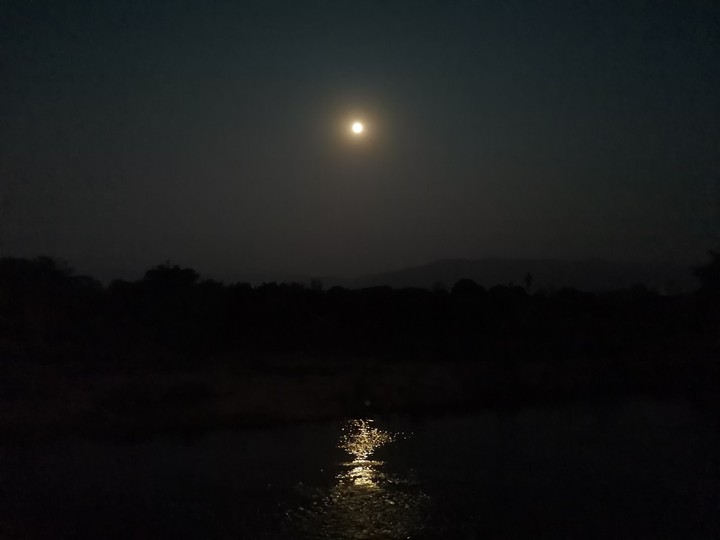 Dancing in the moon light