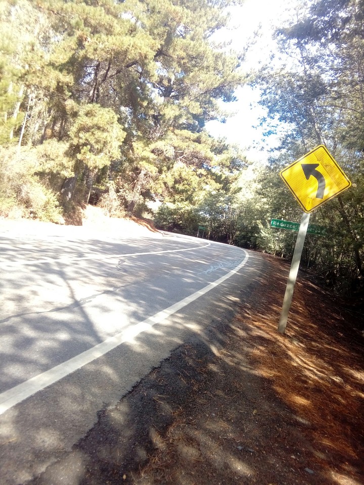 Camino 