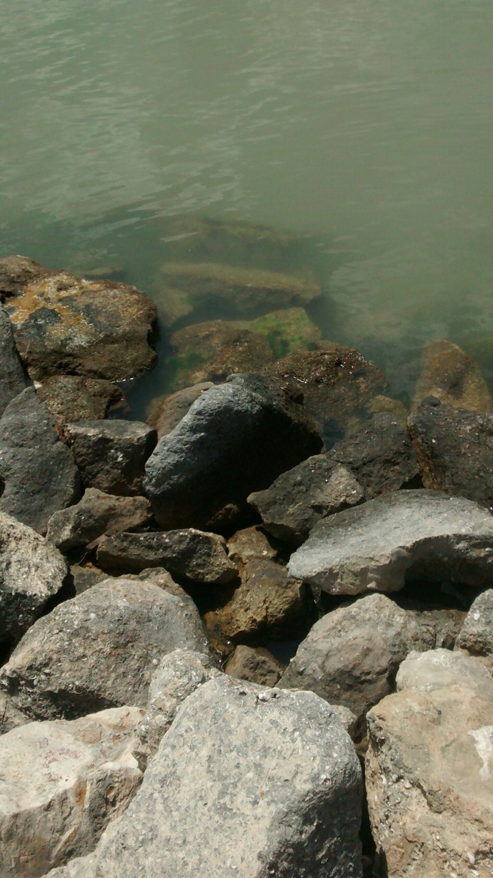 Rocks
