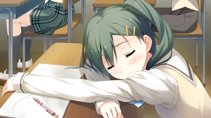 Visual Novel: Your Diary