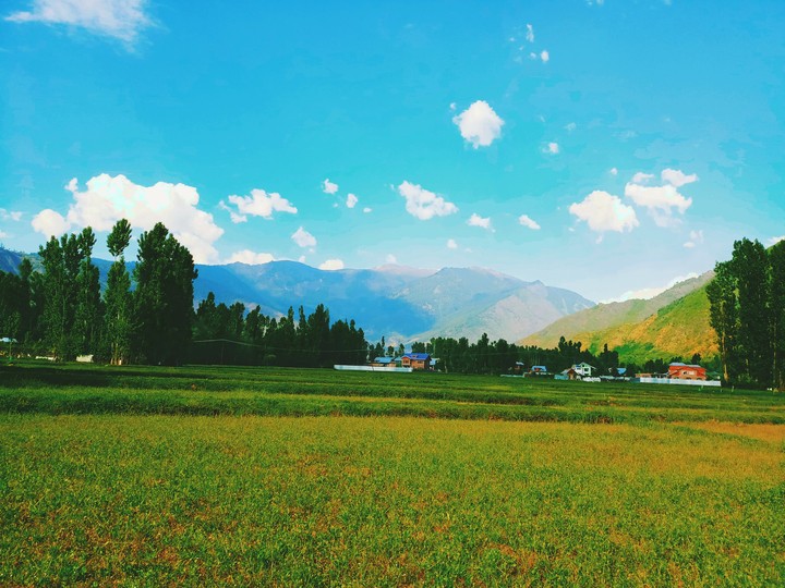 Kashmir