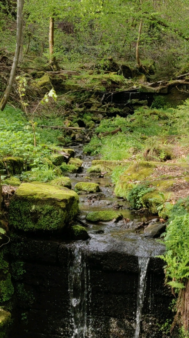 nature