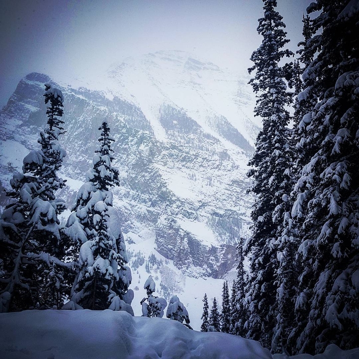 Winter solitude