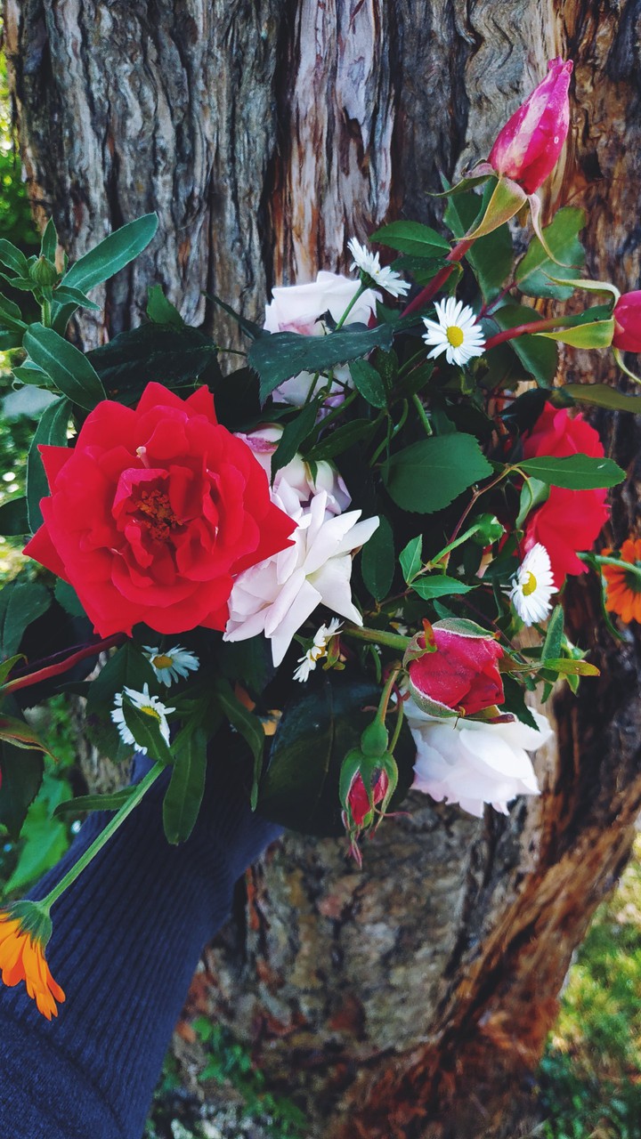 bouquet
