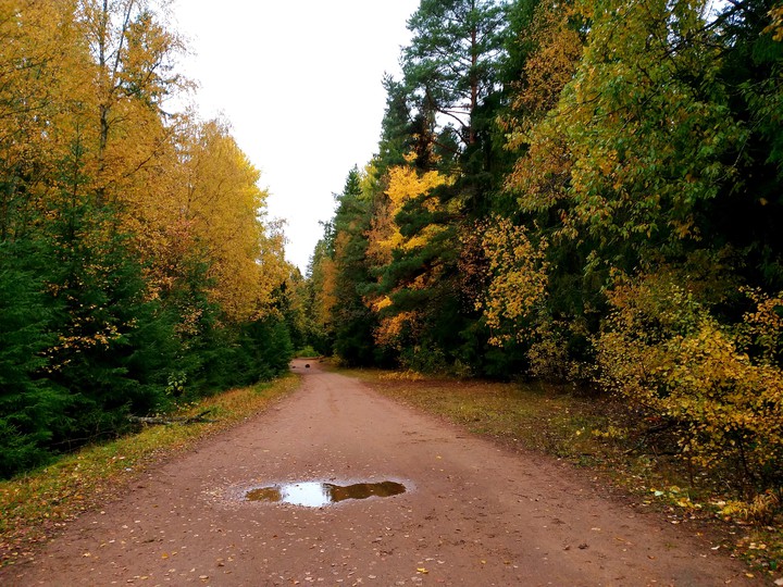 04.10.2019