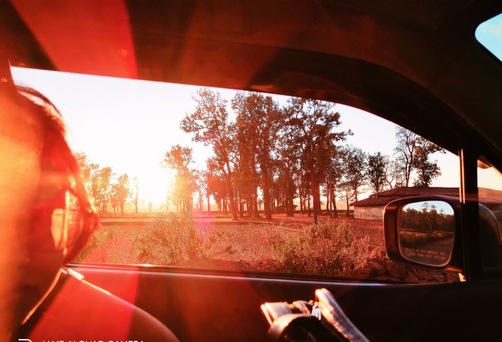car view