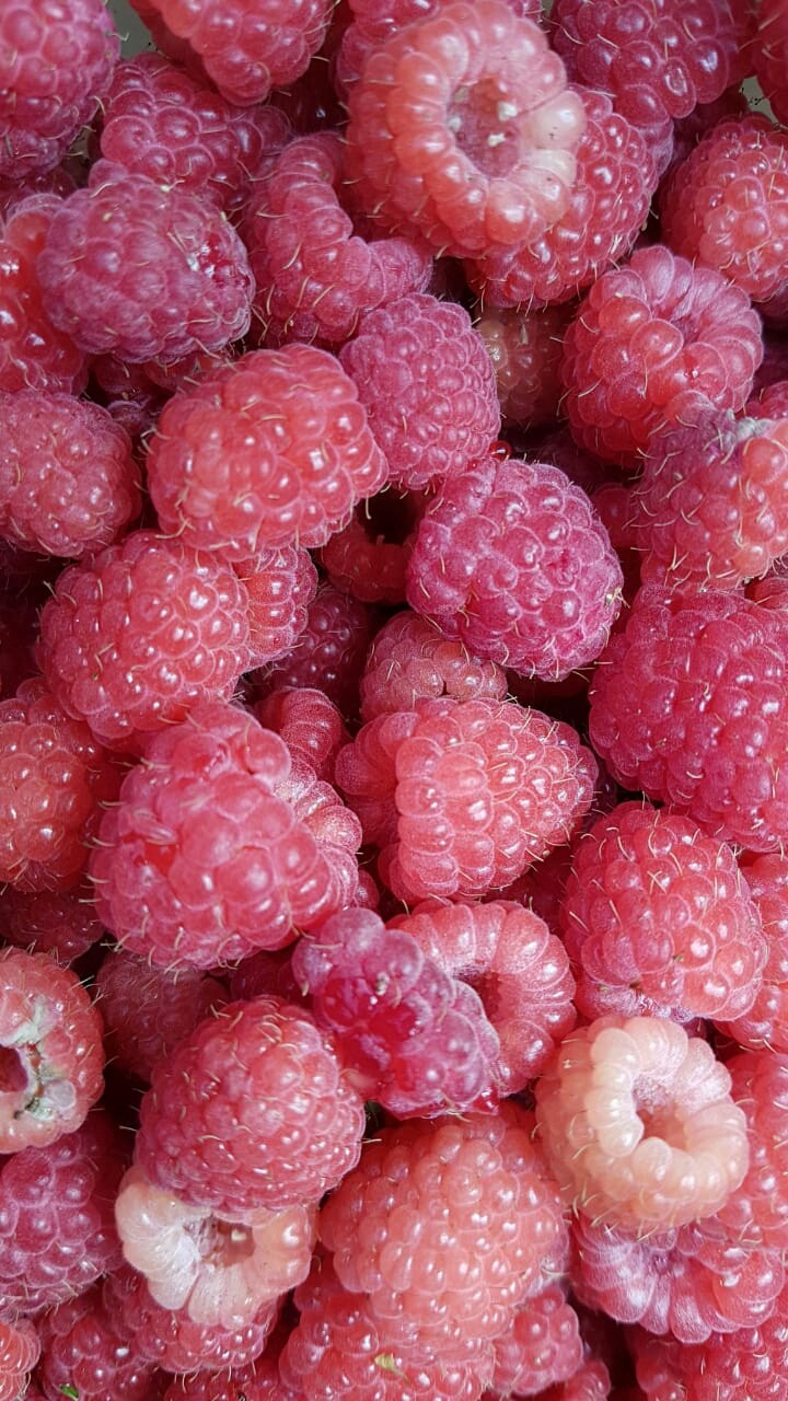 Raspberry