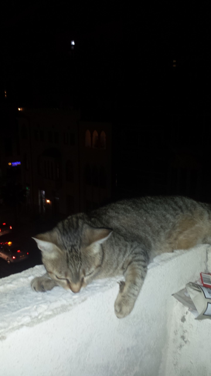by night