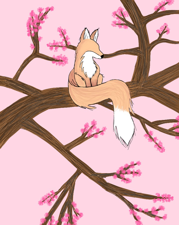 fox