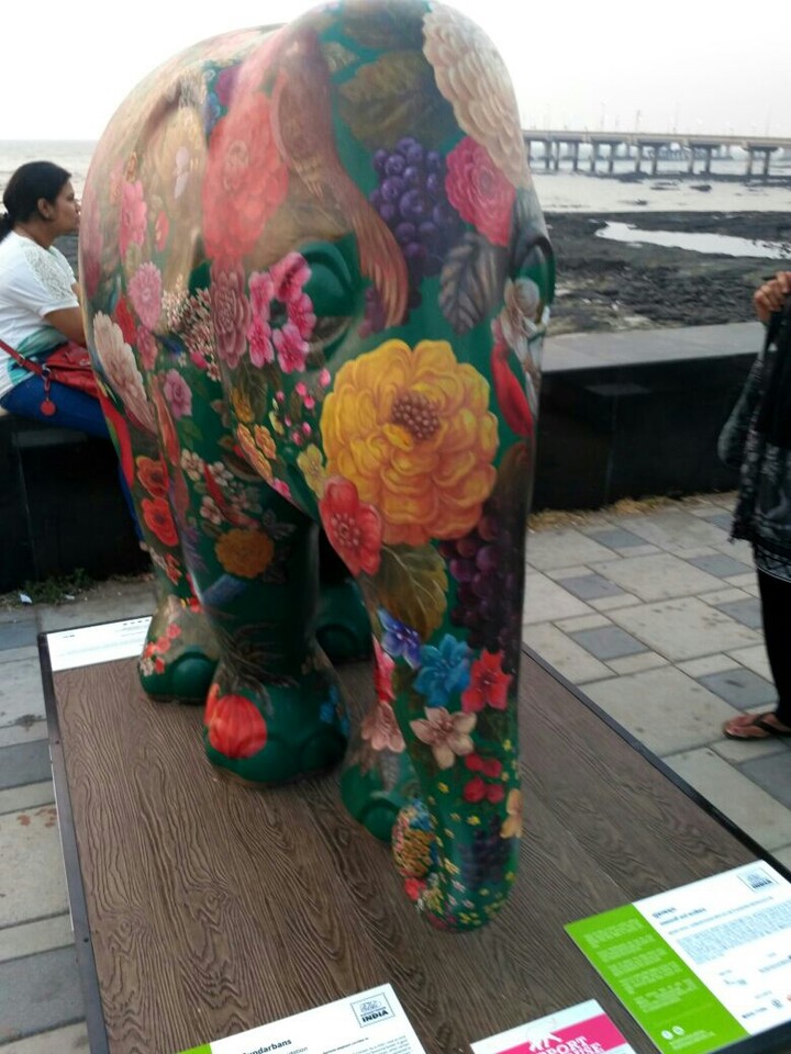 the big elephant